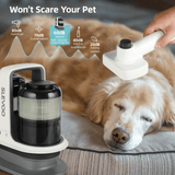 Dog Grooming Kit, Dog Hair Vacuum with 6 Pet Grooming Tools, Pet Grooming Kit for Dogs Cats, Blac