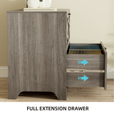RichYa 2 Drawer Wood Lateral File Cabinet, Large Filing Cabinet for Home Office, Fits A4/Letter Size Files, Grey