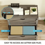 RichYa 2 Drawer Wood Lateral File Cabinet, Large Filing Cabinet for Home Office, Fits A4/Letter Size Files, Grey