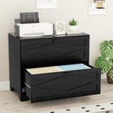 RichYa 2 Drawer Wood Lateral File Cabinet, Large Filing Cabinet for Home Office, Fits A4/Letter Size Files, Black