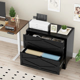 RichYa 2 Drawer Wood Lateral File Cabinet, Large Filing Cabinet for Home Office, Fits A4/Letter Size Files, Black
