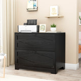 RichYa 2 Drawer Wood Lateral File Cabinet, Large Filing Cabinet for Home Office, Fits A4/Letter Size Files, Black