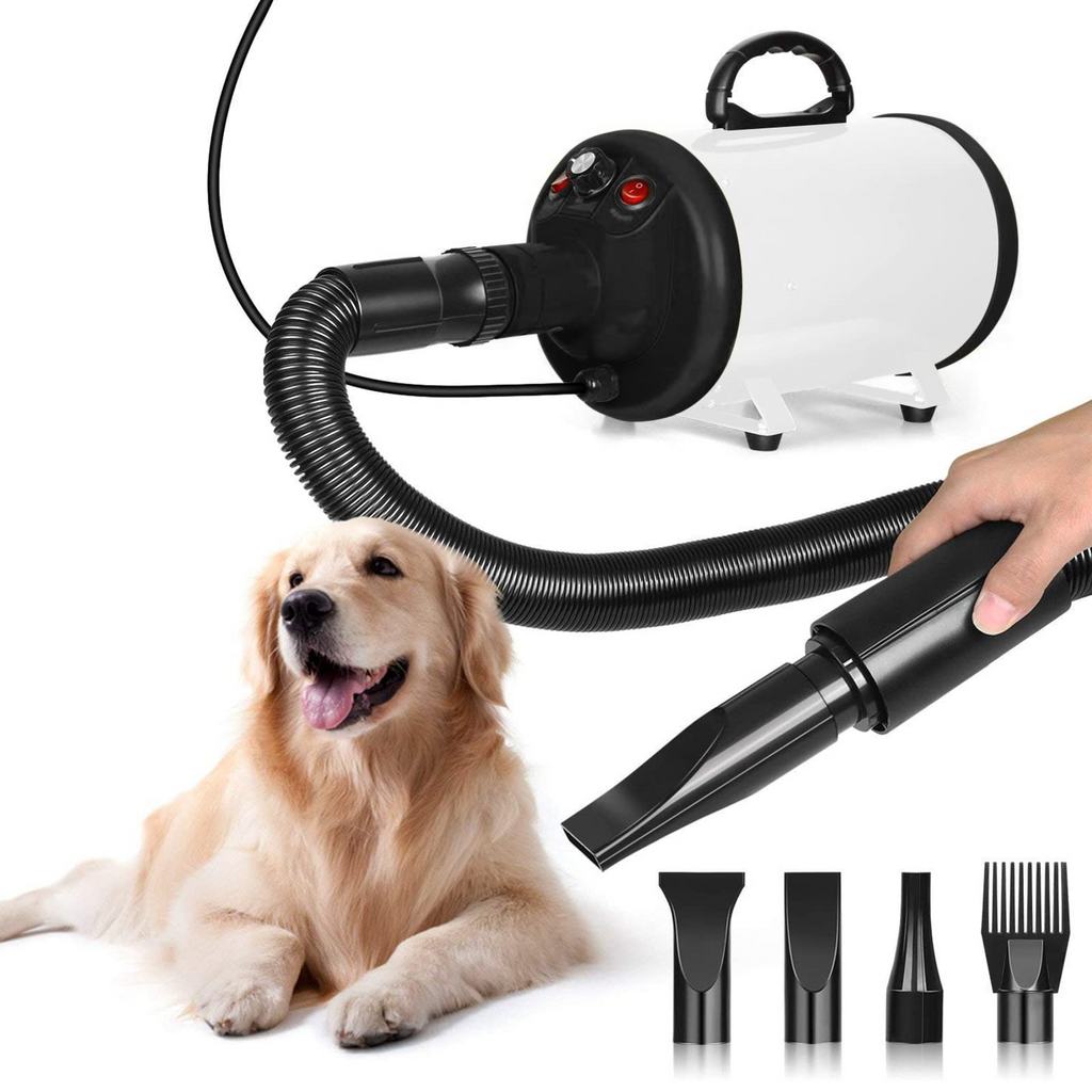 Amzdeal cheap dog dryer